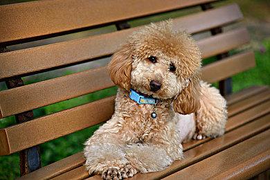 消息称2022年使命召唤游戏开发成本超过2.5亿美元